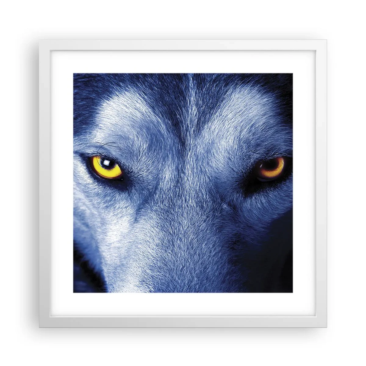 Affiche dans un cadre blanc - Poster - Regars hypnotique - 40x40 cm