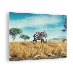 Impression sur verre - Image sur verre - Un éléphant avec des rayures de zèbre dans la savane sous le ciel - 70x50cm - Le gris n'est déjà plus à la mode - Décoration murale moderne pour le salon et la chambre ARTTOR