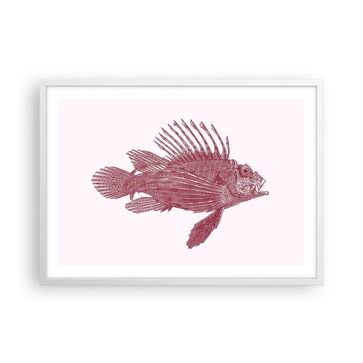 Affiche dans un cadre blanc - Poster - Un habitant des eaux exotiques - 70x50 cm