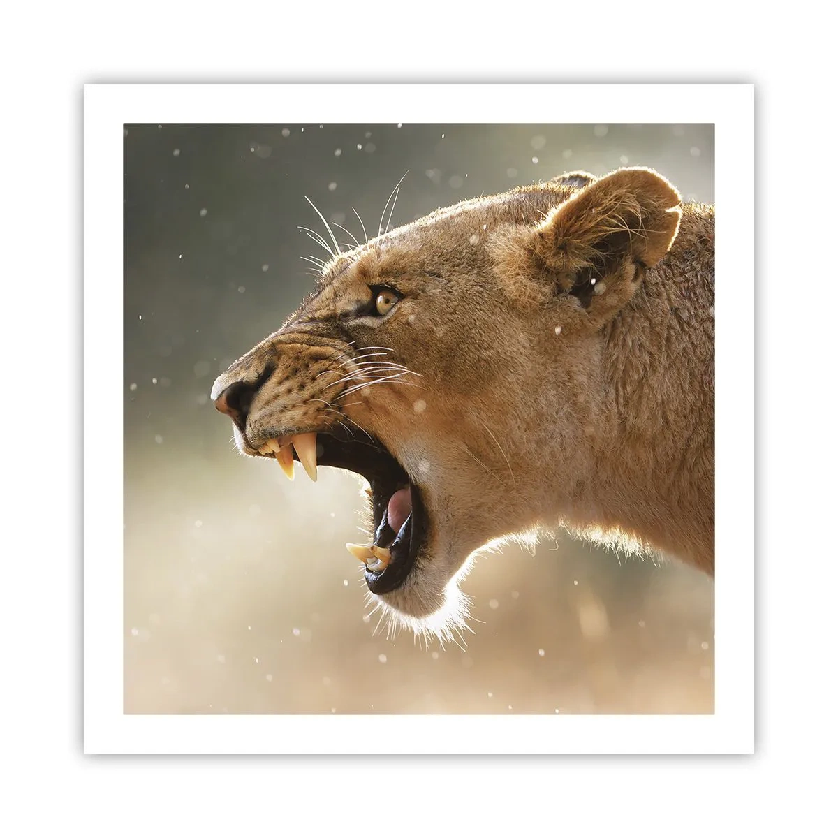 Affiche - Poster - Essayez de ne pas écouter - 60x60 cm