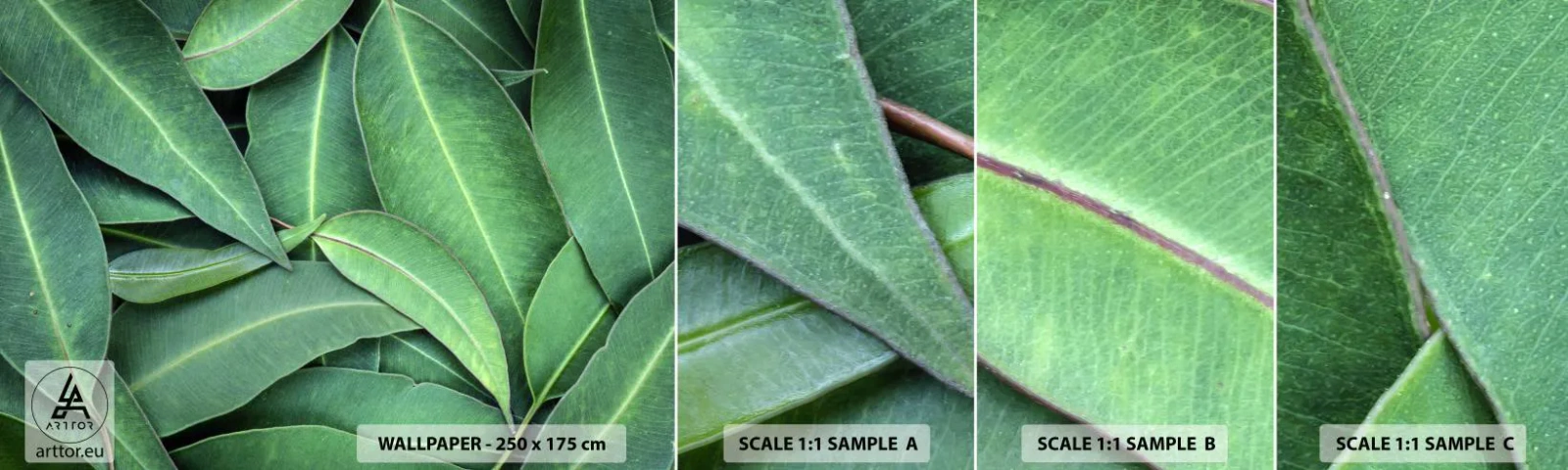 Échantillon de Papier Peint Autocollant Deluxe Sticker - Juteux et frais - Feuilles, Eucalyptus, Nature - 100x30 cm