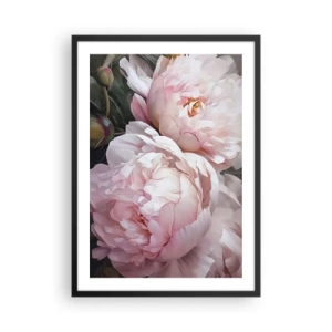 Affiche dans un cadre noir - Poster - Pivoines délicates dans des tons pastel de rose et de blanc - 50x70cm - Arrêté en pleine floraison - Décoration murale moderne pour le salon et la chambre ARTTOR