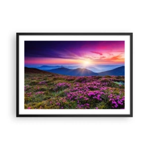 Affiche dans un cadre noir - Poster - Prairie de montagne avec des fleurs au coucher du soleil - 70x50cm - Les herbes sentaient les grappes fraîches de la récolte - Décoration murale moderne pour le salon et la chambre ARTTOR