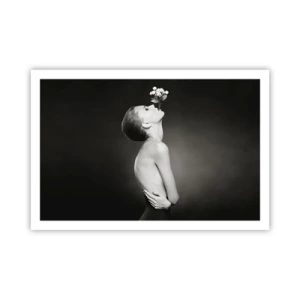 Affiche - Poster - Elégance excentrique - 91x61 cm