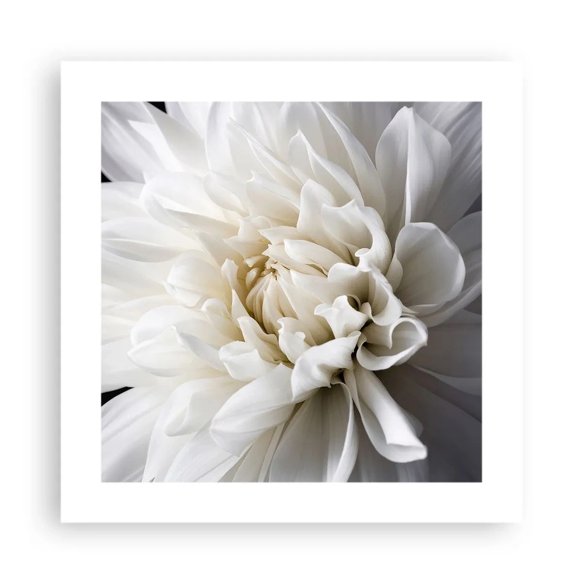 Affiche - Poster - Le matin de la jeune mariéé - 40x40 cm