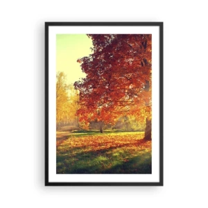 Affiche dans un cadre noir - Poster - Parc d'automne avec un arbre aux feuilles dorées au soleil - 50x70cm - Le roux est beau - Décoration murale moderne pour le salon et la chambre ARTTOR