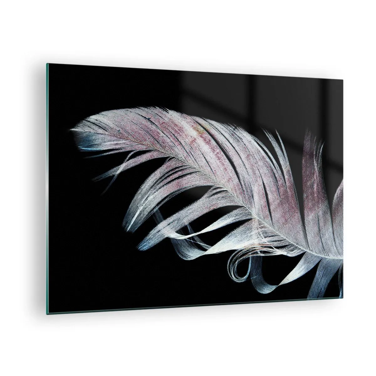 Impression sur verre - Image sur verre - Une plume délicate sur fond noir dans une démarche artistique - 70x50cm - Pensez au toucher - Décoration murale moderne pour le salon et la chambre ARTTOR