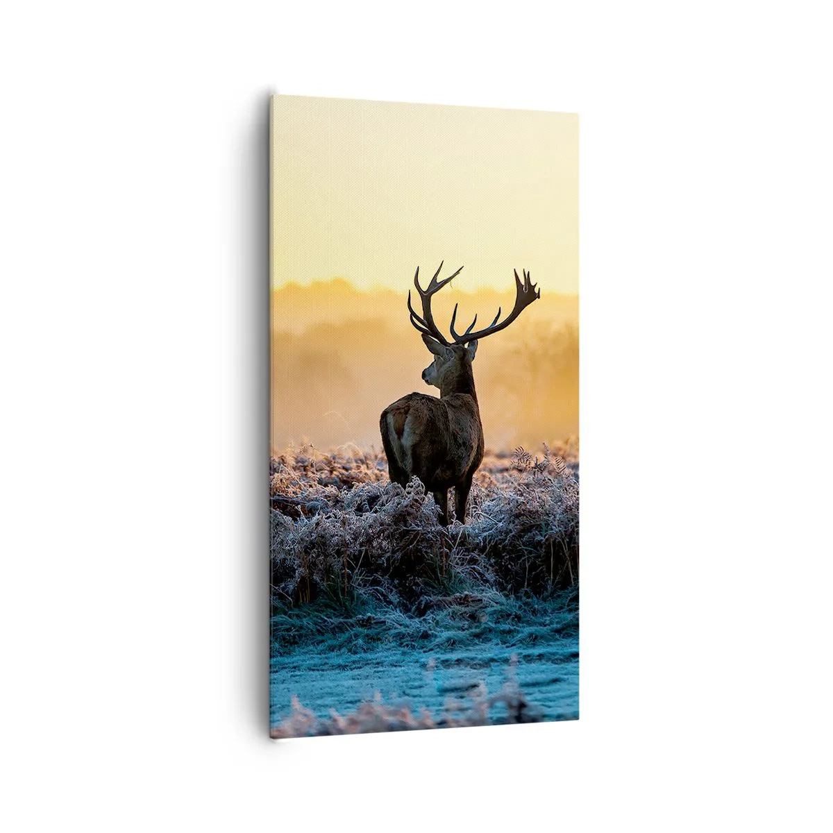 Impression sur toile - Image sur toile - Couronné pour sa succession - 65x120 cm