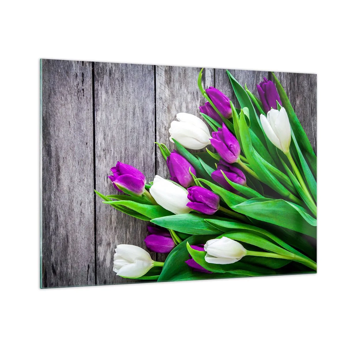 Impression sur verre - Image sur verre - Un bouquet de tulipes violettes et blanches sur un fond en bois - 100x70cm - Le jour des vacances de printemps - Décoration murale moderne pour le salon et la chambre ARTTOR