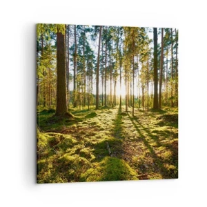 Impression sur toile - Image sur toile - … Derrière les sept forêts - 60x60 cm