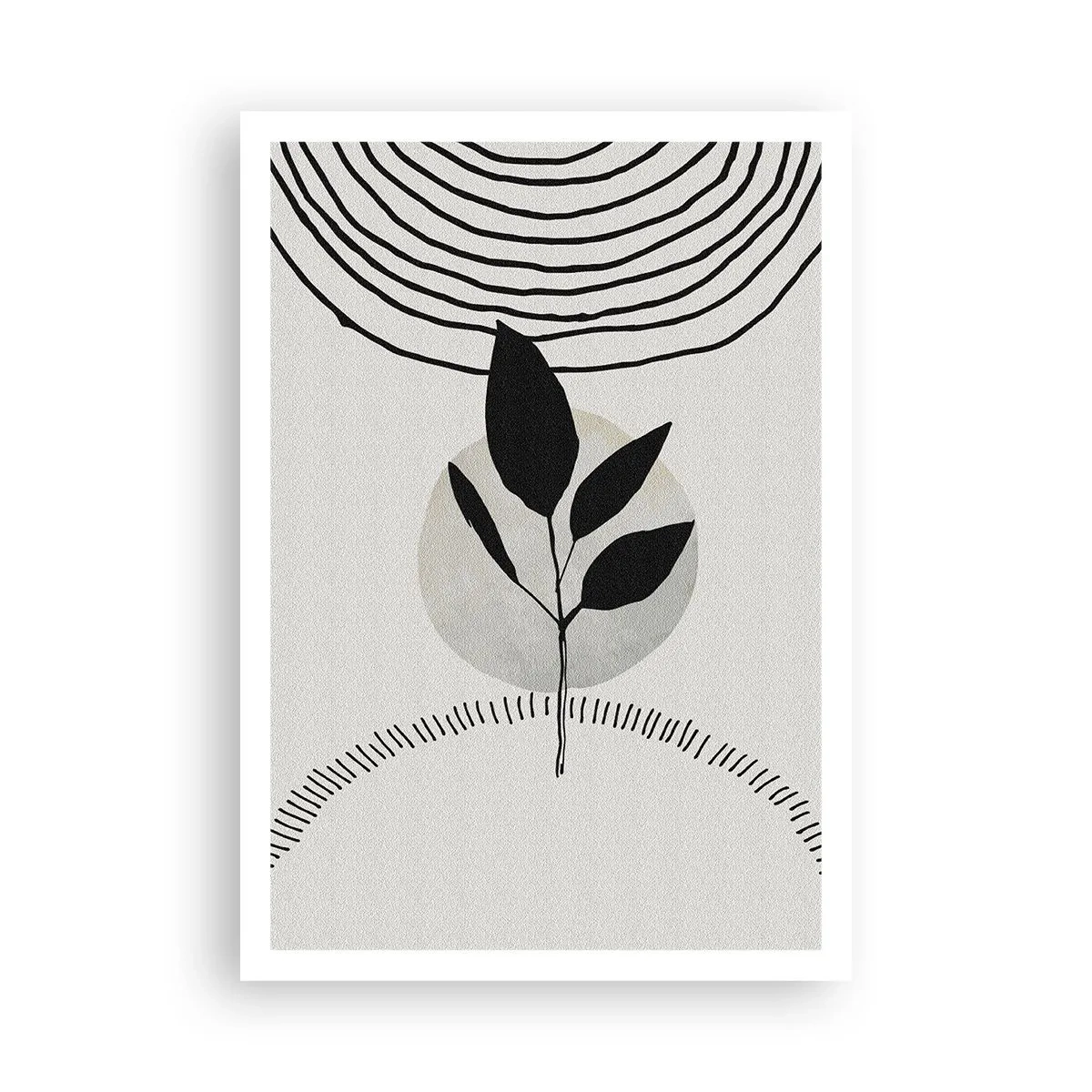 Affiche - Poster - Composition : rituels de la nature - 70x100 cm