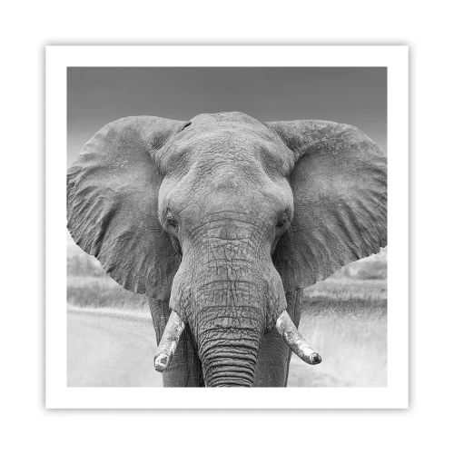 Affiche - Poster - Bienvenue dans mon monde - 60x60 cm