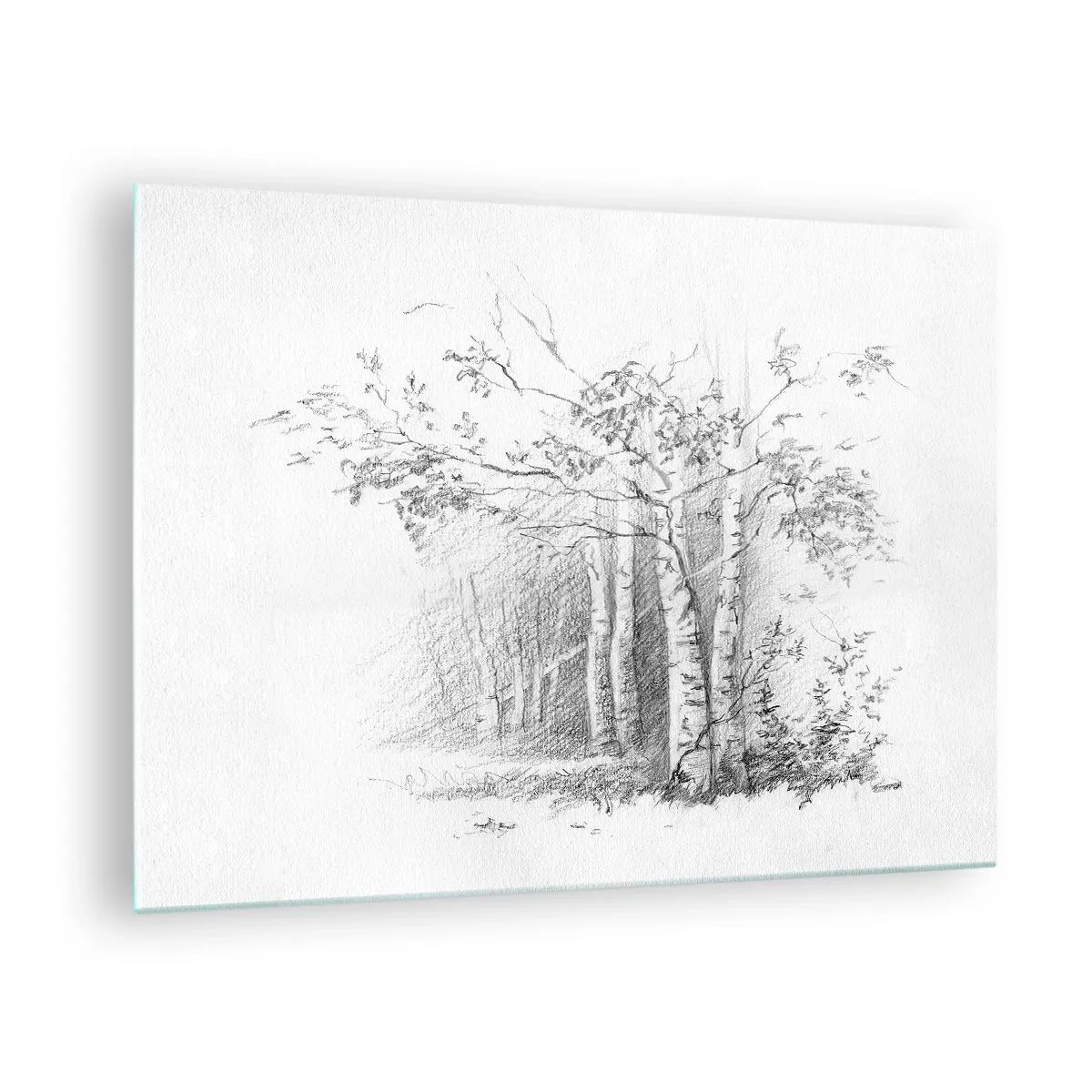 Impression sur verre - Image sur verre - Croquis d'une forêt de bouleaux aux tons monochromes - 70x50cm - Lumière d'une forêt de bouleaux - Décoration murale moderne pour le salon et la chambre ARTTOR