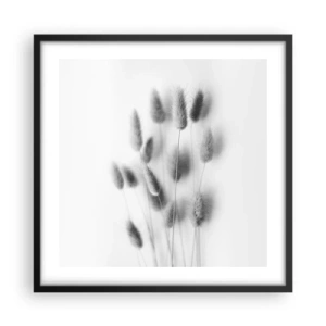 Affiche dans un cadre noir - Poster - Son herbe duveteuse - 50x50 cm