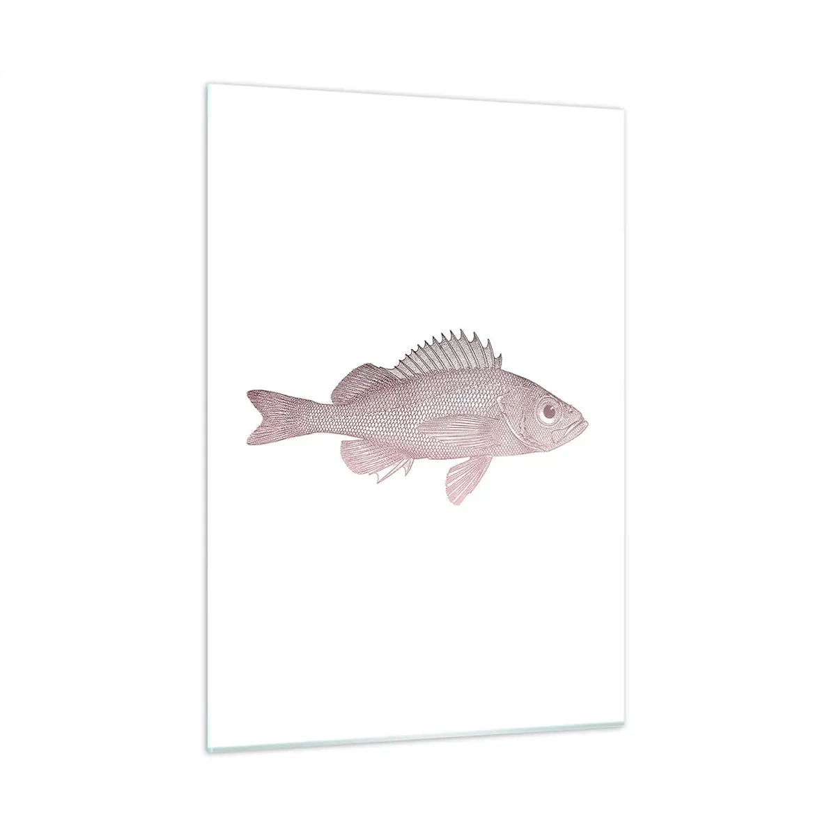 Impression sur verre - Image sur verre - Graphique d'un poisson avec un grand œil dans un style rétro sur fond blanc - 50x70cm - Poisson aux grands yeux - Décoration murale moderne pour le salon et la chambre ARTTOR