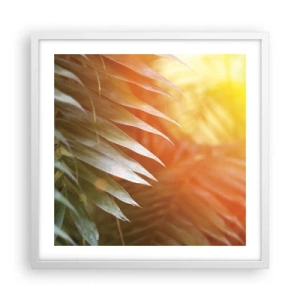 Affiche dans un cadre blanc - Poster - Matinée dans la jungle - 50x50 cm