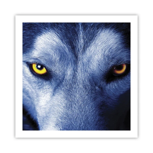 Affiche - Poster - Regars hypnotique - 60x60 cm