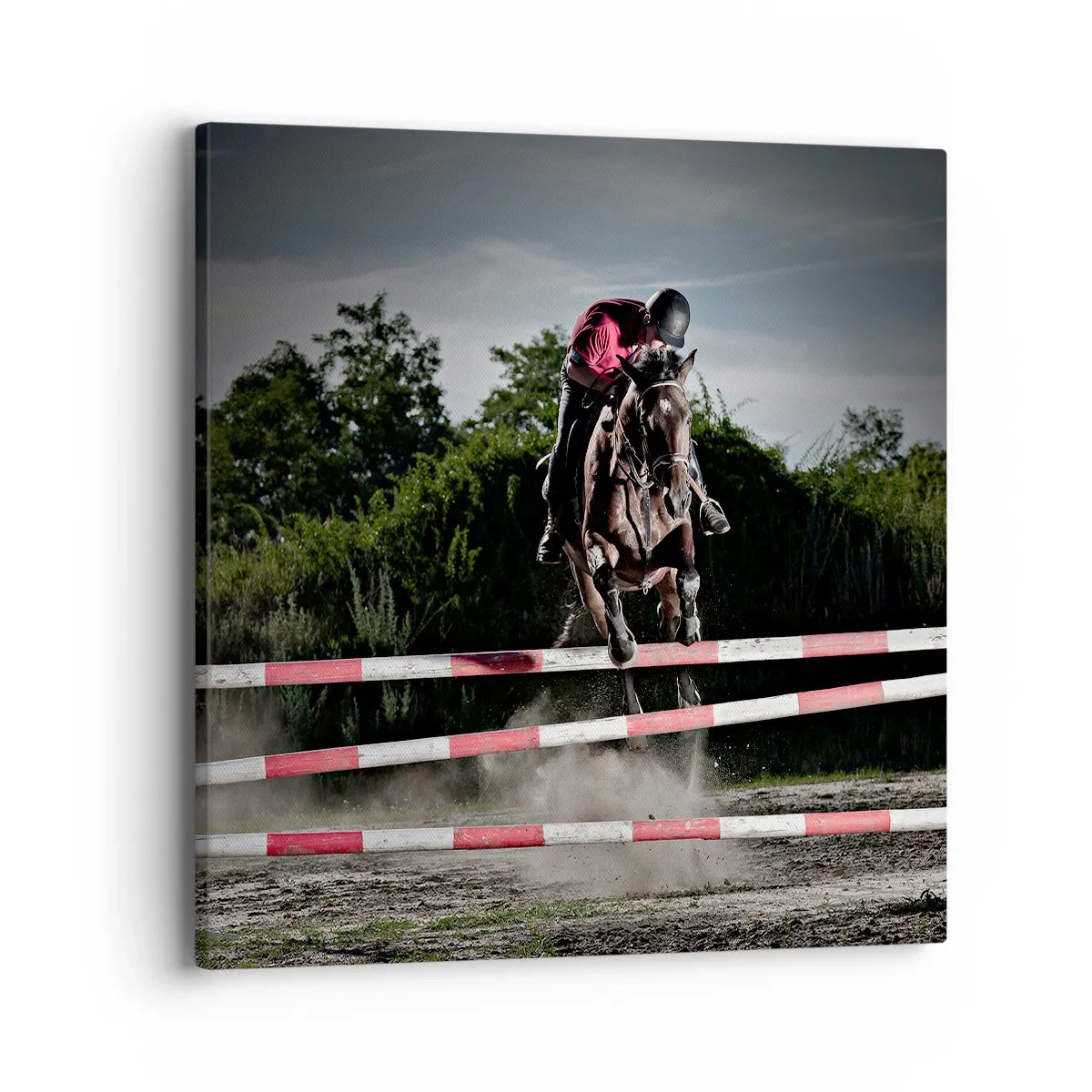 Impression sur toile - Image sur toile - Ensemble pour la victoire - 40x40 cm