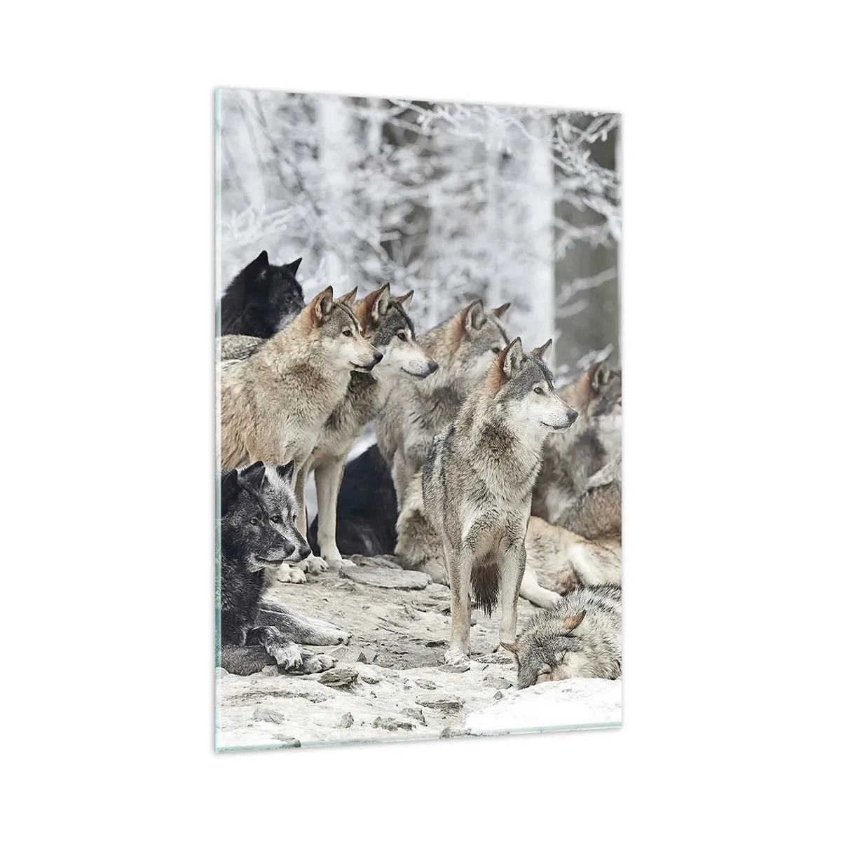 Impression sur verre - Image sur verre - Une meute de loups dans la forêt d'hiver - 80x120cm - Famille et amis - Décoration murale moderne pour le salon et la chambre ARTTOR