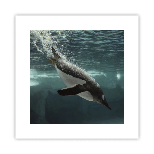 Affiche - Poster - Bienvenue dans mon monde - 30x30 cm