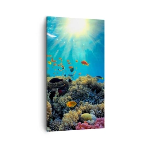 Impression sur toile - Image sur toile - Trésor sous-marin - 45x80 cm