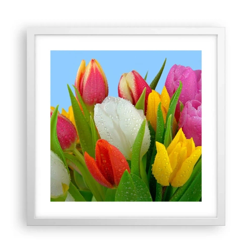 Affiche dans un cadre blanc - Poster - Un arc-en-ciel fleuri en gouttes de rosée - 40x40 cm