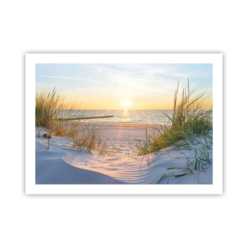 Affiche - Poster - Le bruit de la mer, le chant des oiseaux, une plage sauvage parmi les herbes… - 70x50 cm