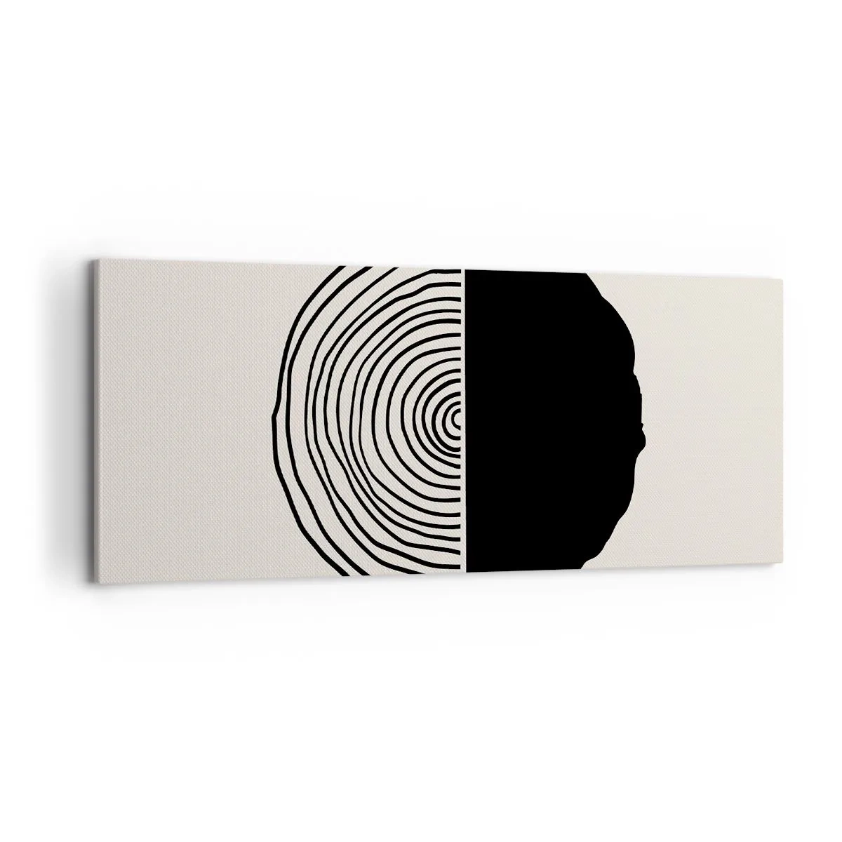 Impression sur toile - Image sur toile - Moitié-moitié - 100x40 cm