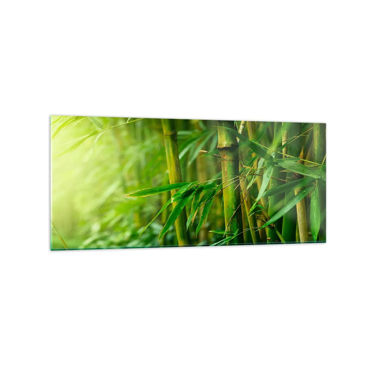 Impression sur verre - Image sur verre - Forêt de bambous verts dans une lumière douce - 120x50cm - Apprenez à connaître le vert lui-même - Décoration murale moderne pour le salon et la chambre ARTTOR