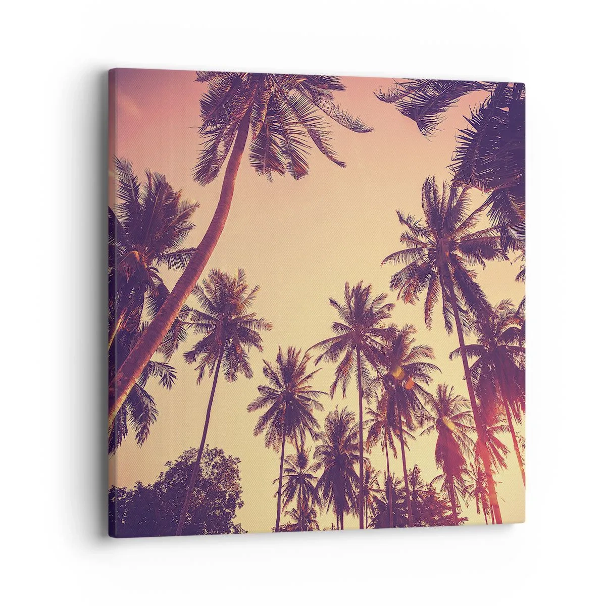 Impression sur toile - Image sur toile - Variation tropicale - 40x40 cm