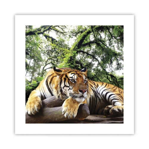 Affiche - Poster - Cordialement - 40x40 cm