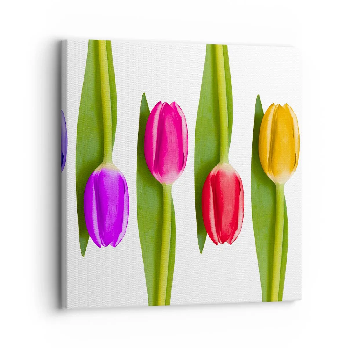 Impression sur toile - Image sur toile - Composition arc-en-ciel - 30x30 cm