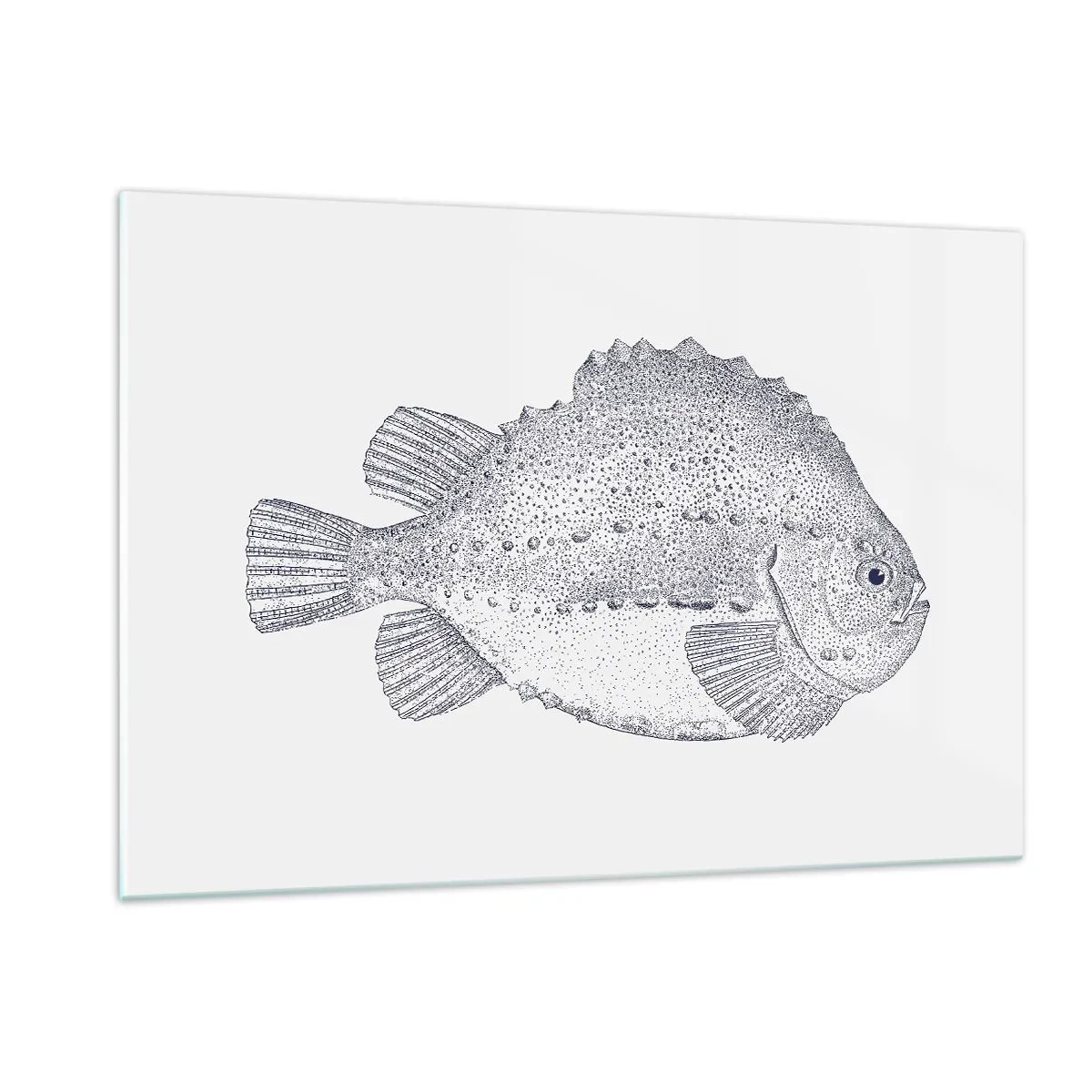 Impression sur verre - Image sur verre - Gravure détaillée d'un poisson sur fond blanc dans un style nature - 120x80cm - Pour l'album du naturaliste - Décoration murale moderne pour le salon et la chambre ARTTOR