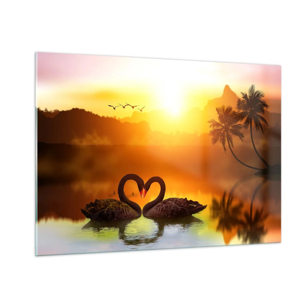 Impression sur verre - Image sur verre - Cygnes noirs sur le lac au coucher du soleil - 100x70cm - Tout va ensemble - Décoration murale moderne pour le salon et la chambre ARTTOR