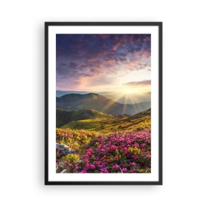 Affiche dans un cadre noir - Poster - Fleurs dans les montagnes illuminées par les rayons du soleil couchant - 50x70cm - Fraîcheur matinale en montagne - Décoration murale moderne pour le salon et la chambre ARTTOR