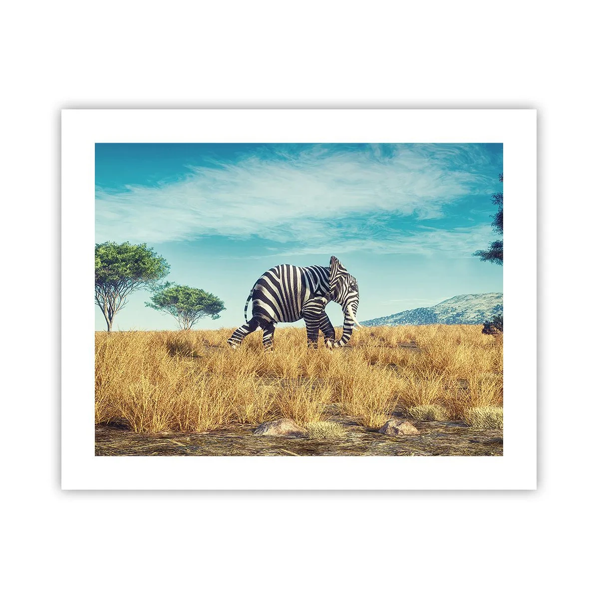 Affiche - Poster - Le gris n'est déjà plus à la mode - 50x40 cm