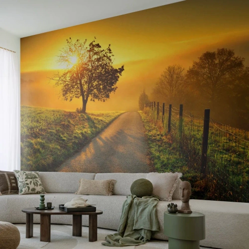 Papier Peint Autocollant Deluxe Sticker - Après-midi de miel - Paysage, Chemin de terre, Prairie - 450x315 cm