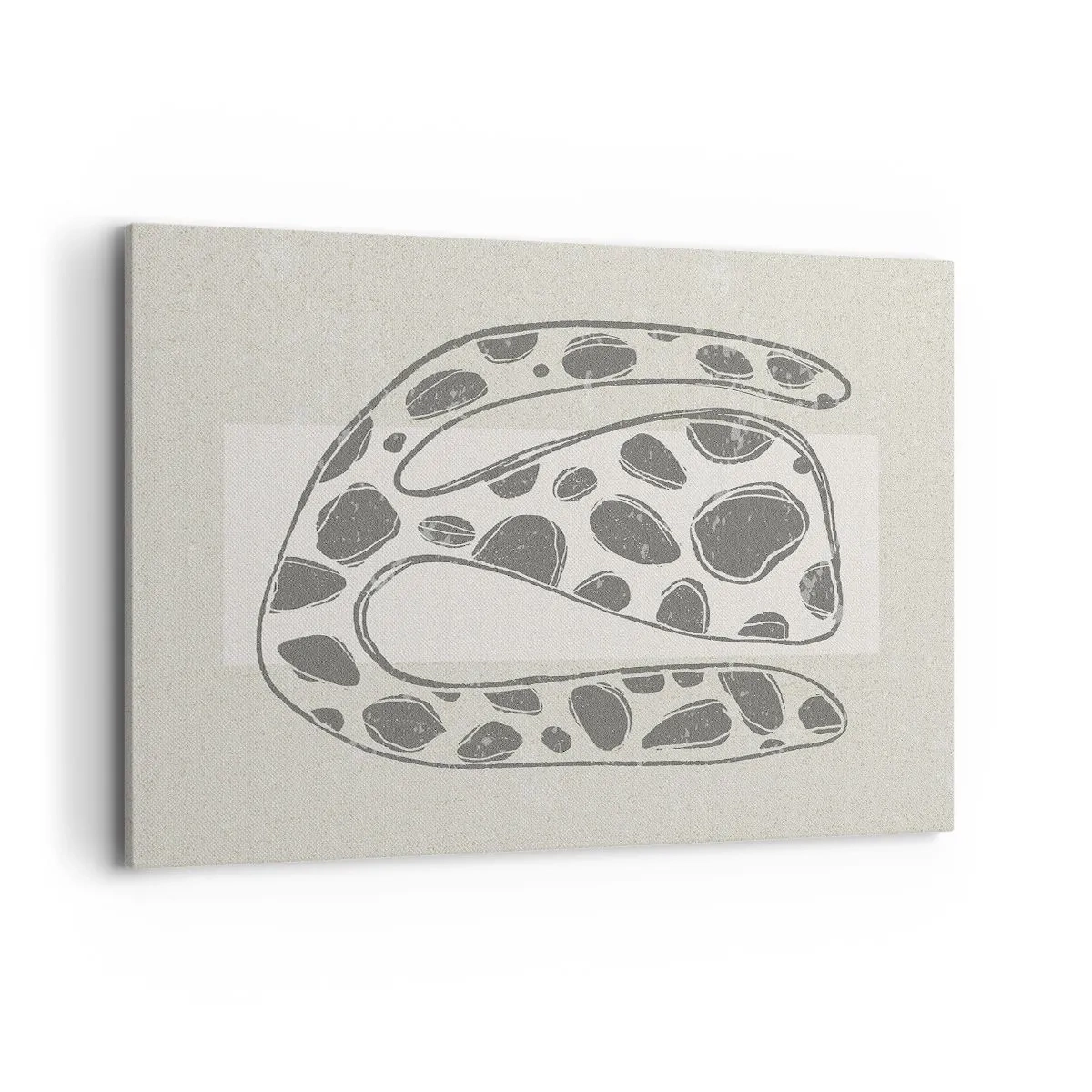 Impression sur toile - Image sur toile - Motif organique abstrait dans des tons de gris - 120x80cm - Une étrange créature - Décoration murale moderne pour le salon et la chambre ARTTOR