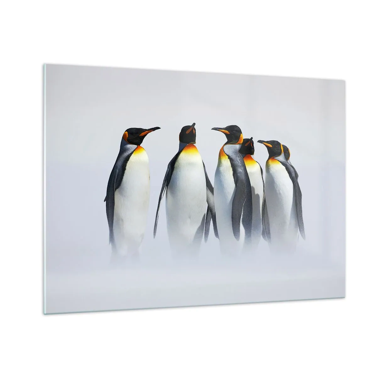 Impression sur verre - Image sur verre - Un groupe de pingouins dans un paysage hivernal - 100x70cm - Rencontre en robes de soirée - Décoration murale moderne pour le salon et la chambre ARTTOR