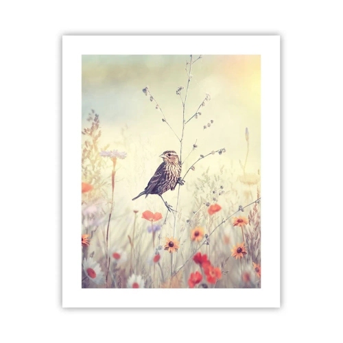 Affiche - Poster - Portrait d'oiseau sur pré en fond - 40x50 cm