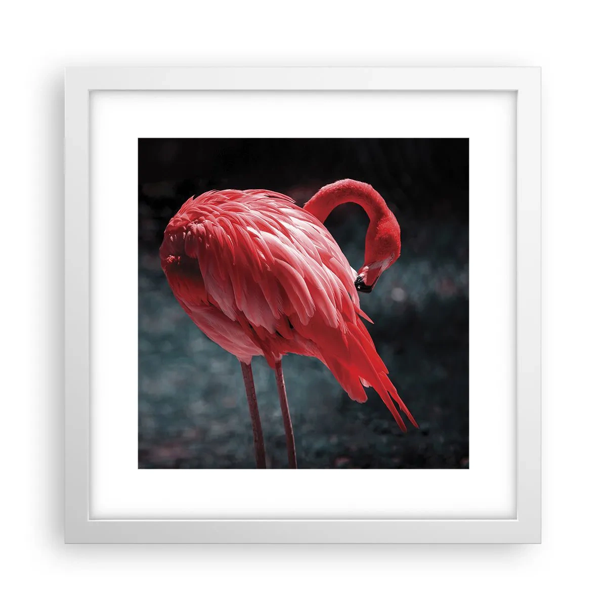 Affiche dans un cadre blanc - Poster - Poème cramoisi de la nature - 30x30 cm