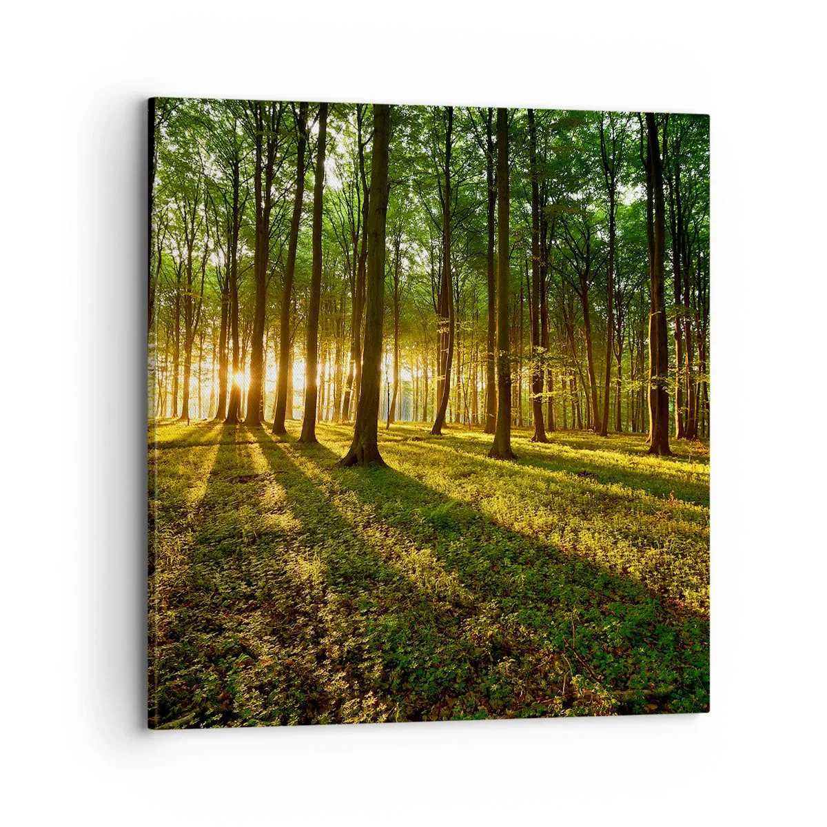 Impression sur toile - Image sur toile - Toutes les photographies de printemps - 70x70 cm