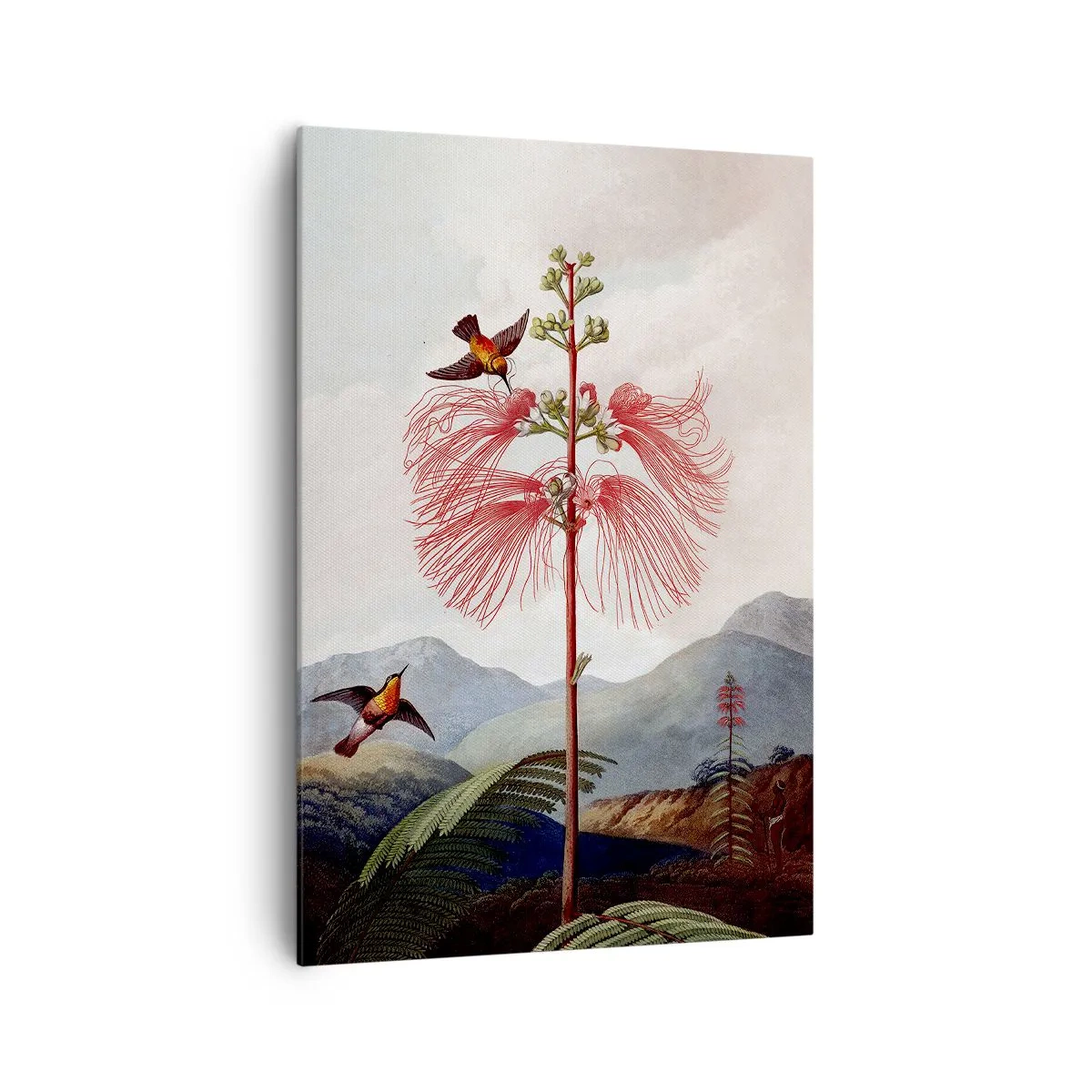 Impression sur toile - Image sur toile - Dans un paradis tropical - 70x100 cm