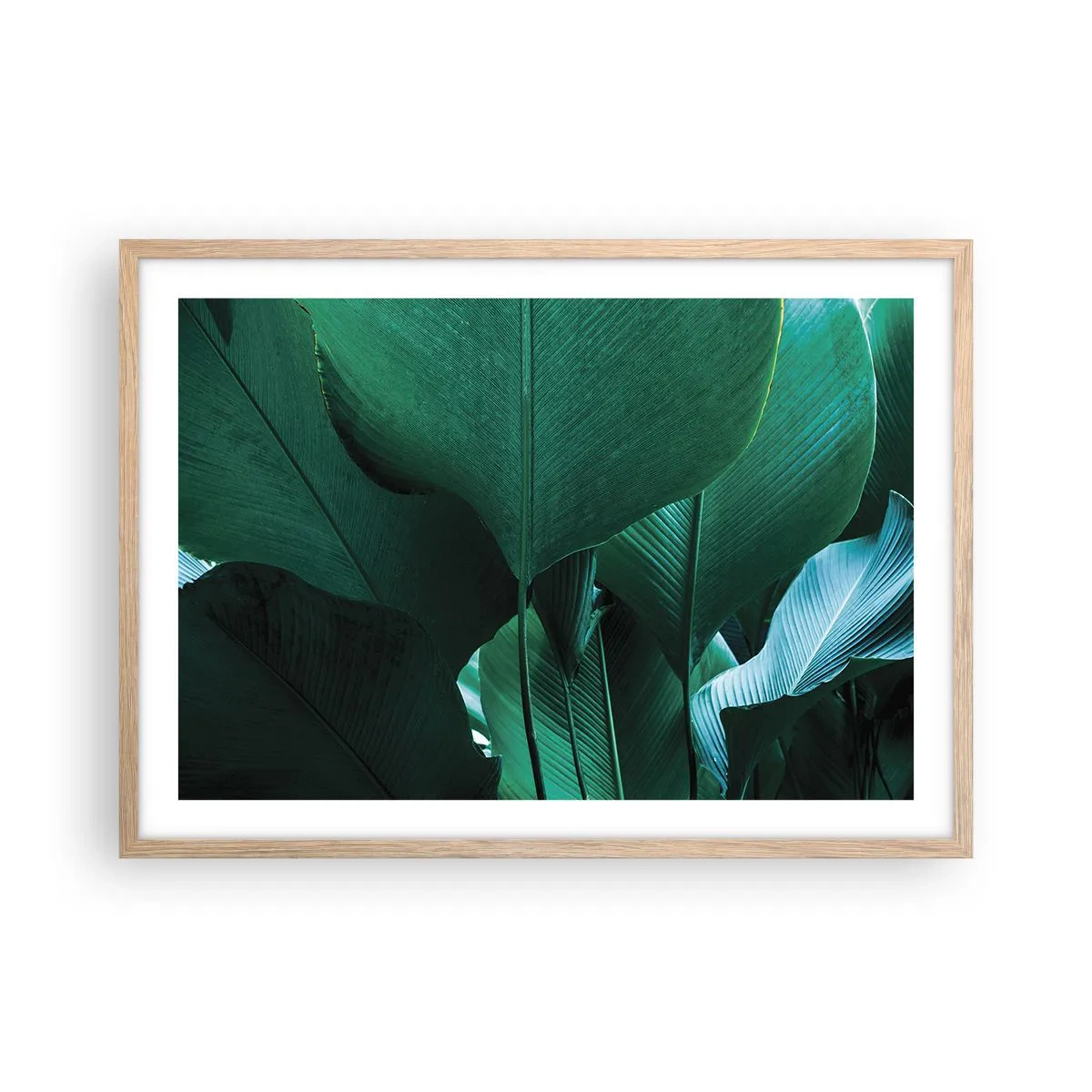 Affiche dans un chêne clair - Poster - Tourné vers la lumière - 70x50 cm