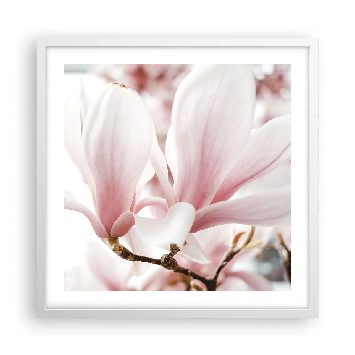 Affiche dans un cadre blanc - Poster - Abondance de tendresse - 50x50 cm