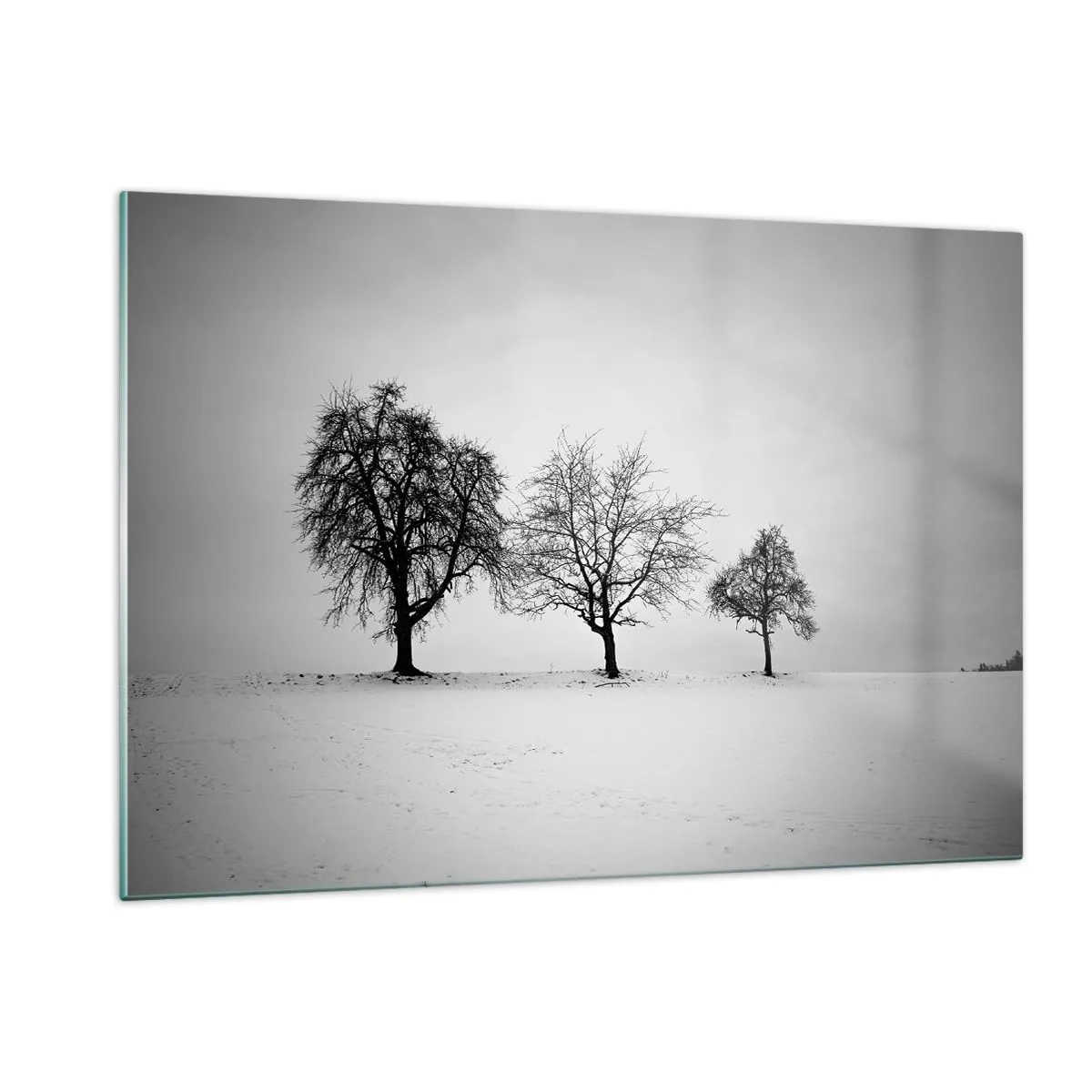 Impression sur verre - Image sur verre - Trois arbres solitaires dans une zone enneigée - 120x80cm - A quoi rêvent-ils? - Décoration murale moderne pour le salon et la chambre ARTTOR