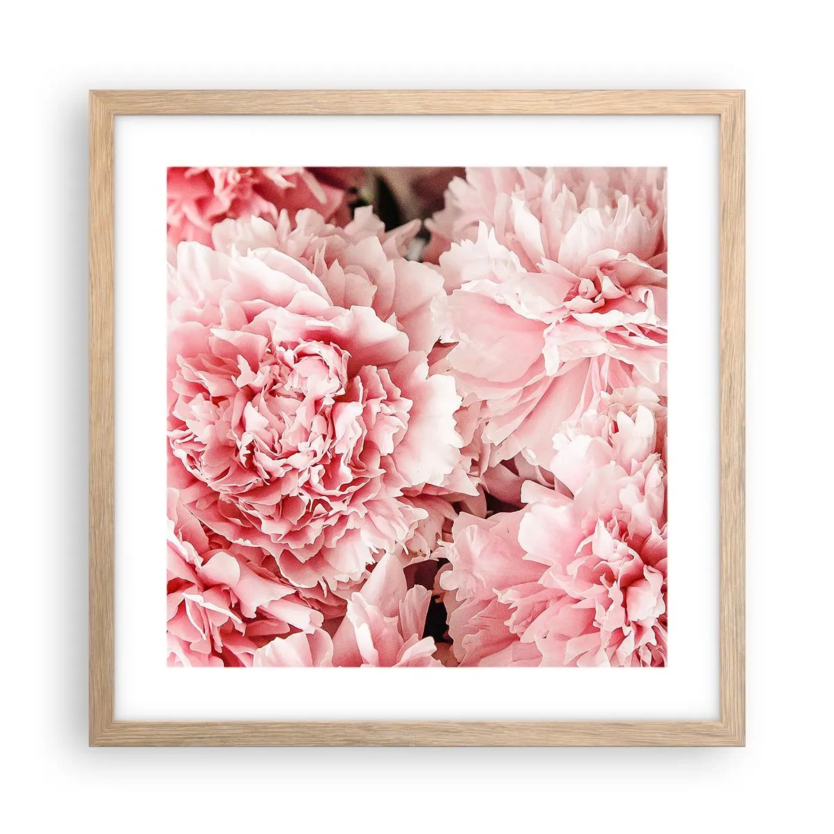 Affiche dans un chêne clair - Poster - Rêve rose - 40x40 cm