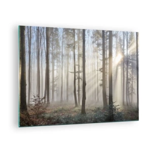 Impression sur verre - Image sur verre - Les rayons du soleil du matin pénètrent la forêt brumeuse - 70x50cm - Le brouillard s'est aussi réveillé - Décoration murale moderne pour le salon et la chambre ARTTOR