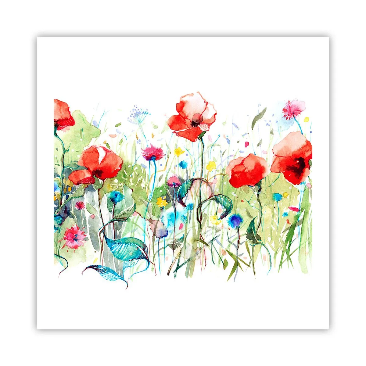 Affiche - Poster - Prairie de fleurs en mai - 60x60 cm