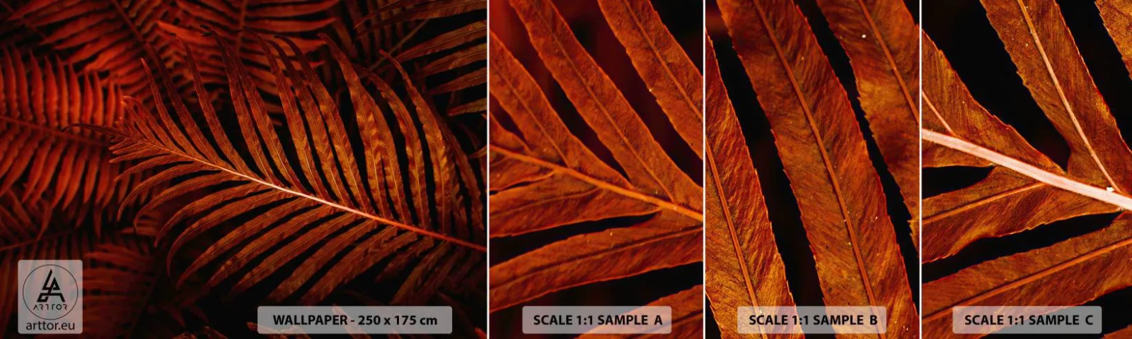 Échantillon de Papier Peint Autocollant Deluxe Sticker - Chaleur de la vie - Abstraction, Feuilles de palmier, Plante tropicale - 100x30 cm